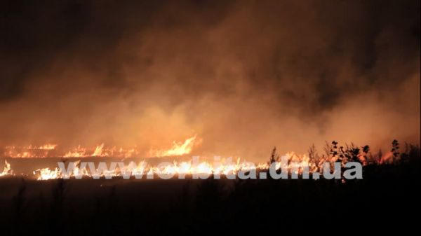 В Димитрове горело поле (фото, видео)