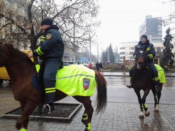 В Донецке лошади "перешли" на службу в "полицию" ДНР (фото)