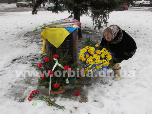 Красноармейск отпраздновал День Соборности Украины (фото, видео)
