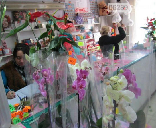 Цветочный бум в Димитрове