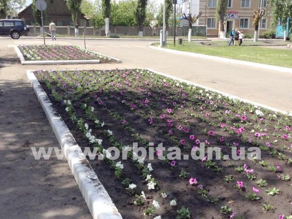 В Красноармейске высаживают цветочные клумбы (фото, видео)