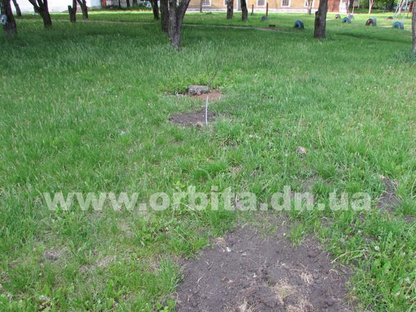 Ничего святого: в Красноармейске воруют деревья из Рощи Памяти (фото, видео)