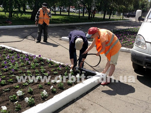 В Красноармейске высаживают цветочные клумбы (фото, видео)