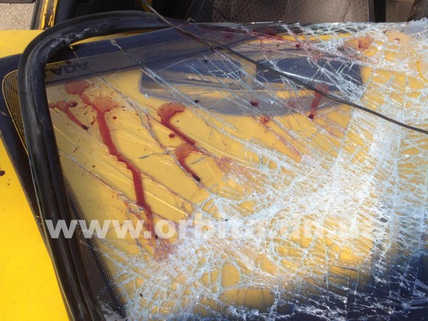 В Димитрове легковушка врезалась в грузовик (фото)