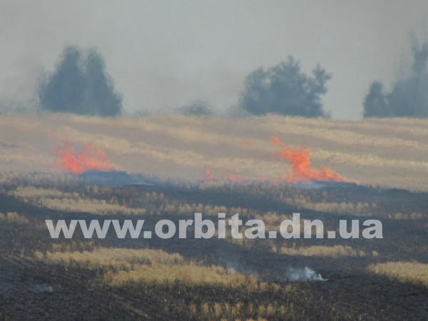 В Красноармейском районе горели поля (фото)
