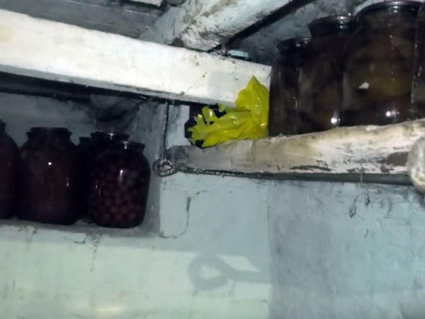 Житель Димитрова хранил в шкафу гранату