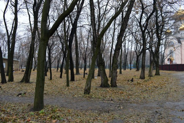 В городском парке Красноармейска найдена «тротиловая шашка»