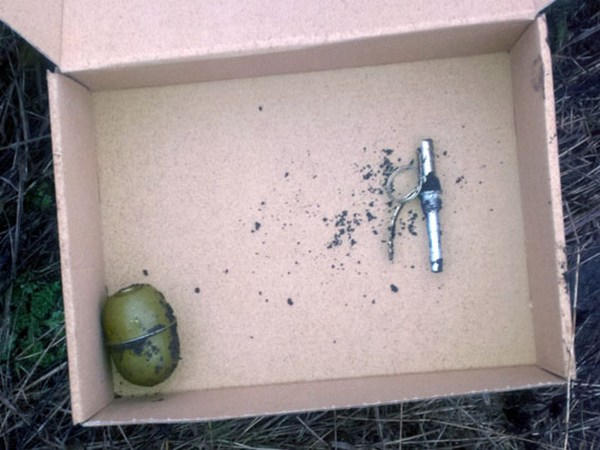 Житель Красноармейского района закопал гранату на кладбище
