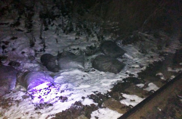 Жители Новогродовки сгружали ворованный уголь с вагона в гараж