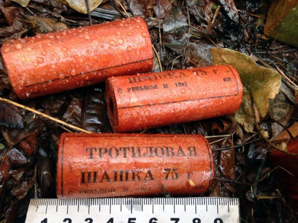 В Красноармейском районе обнаружен тайник со взрывчаткой