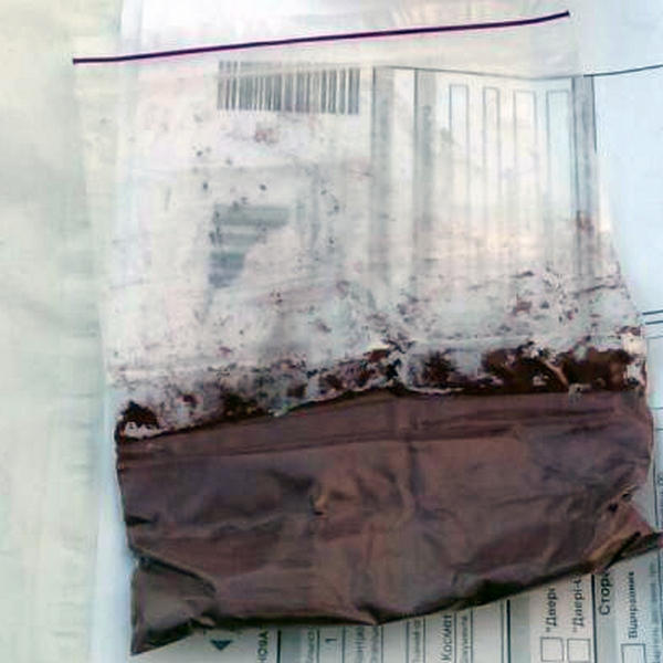Жительница Красноармейска получала ингредиенты для изготовления наркотиков с помощью службы доставки