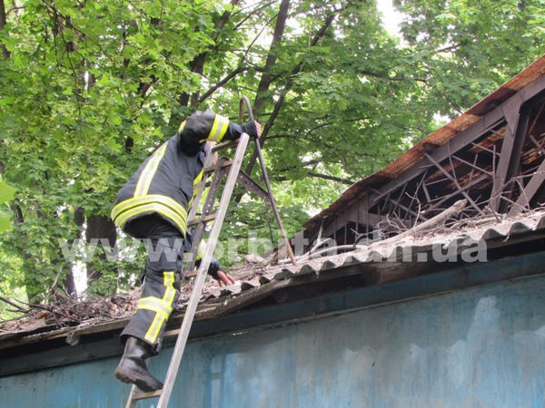 Пожар в Покровске: что горело в парке «Юбилейный»