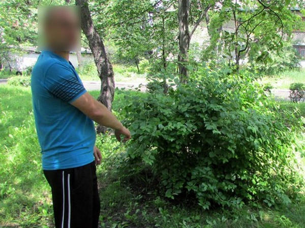 Житель Новогродовки «нашел» в городском парке гранату