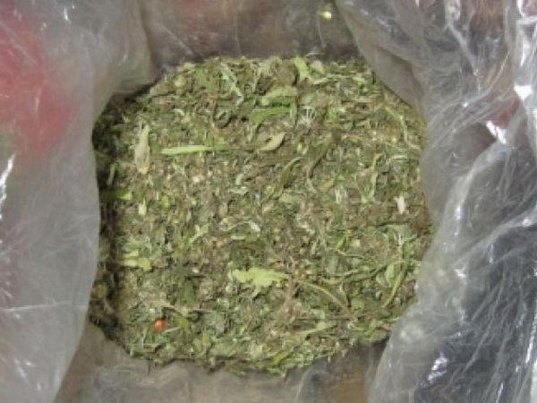 В квартире жителя Новогродовки обнаружен пакет с наркотиками