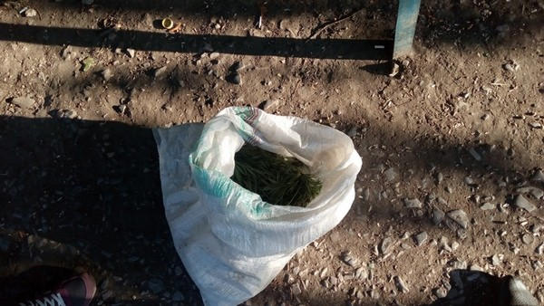 На остановке в Мирнограде у мужчины обнаружили полмешка конопли