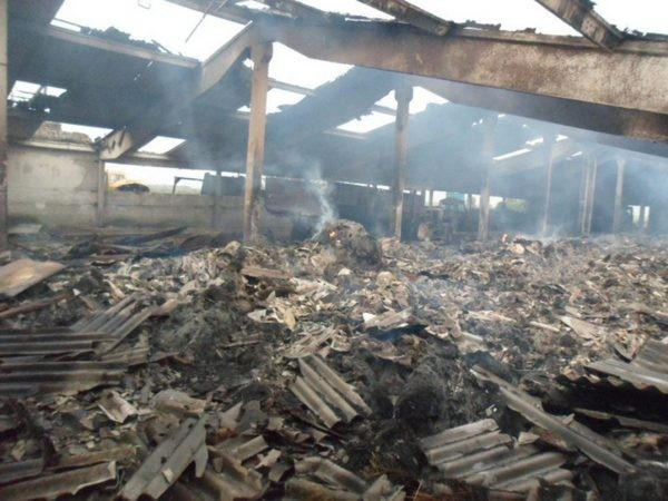 Пожар в мини-зоопарке Покровска оставил животных без корма
