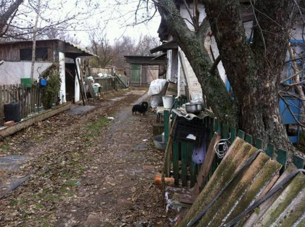 В Покровском районе грабители забили до смерти пенсионера в собственном доме