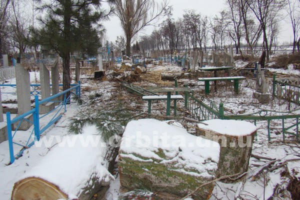 На кладбище Покровска деревья пилят - от крестов и оградок щепки летят