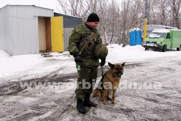 Четверолапый Дик стоит на страже безопасности в Покровске