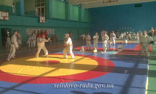 В Селидово прошли соревнования по карате