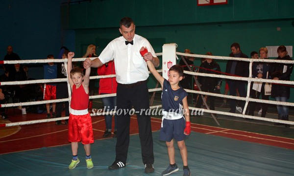 Селидовские боксеры выиграли домашний турнир по боксу