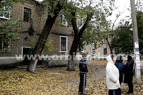 Житель Родинского погиб, пытаясь спилить дерево