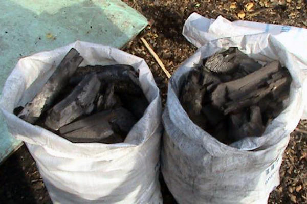 Жительнице Гродовки за кражу четырех мешков угля грозит 3 года тюрьмы