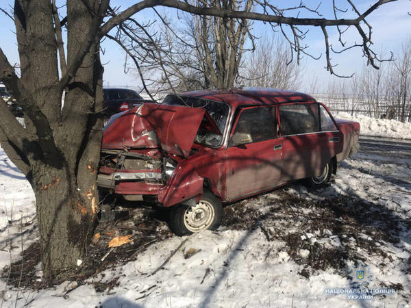 В Покровском районе автомобиль врезался в дерево: пострадали два человека