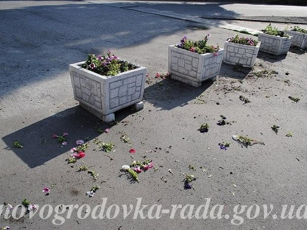 В Новогродовке орудуют вандалы