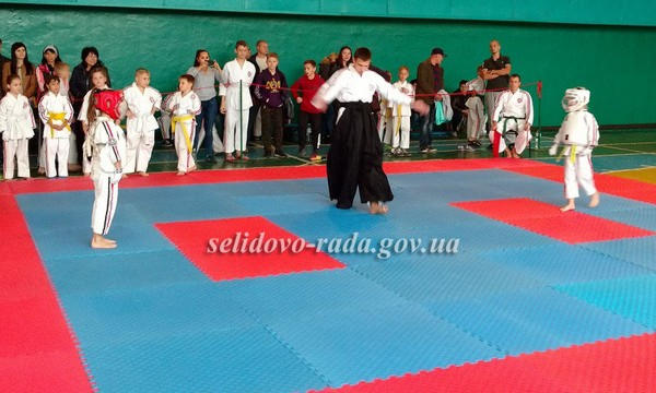 В Селидово прошел Открытый Чемпионат города по косики карате