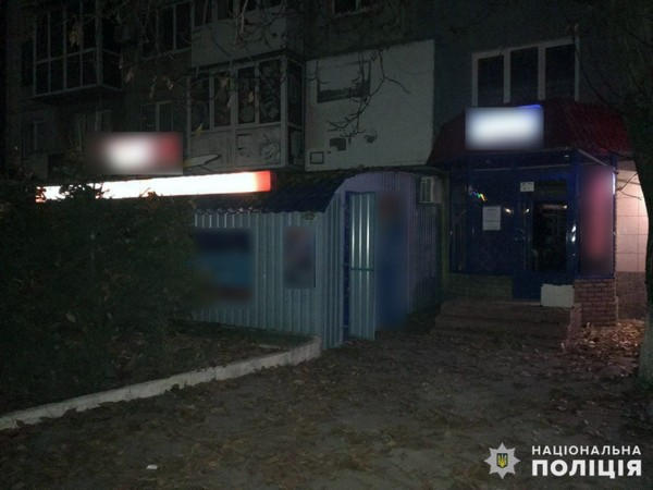 В Мирнограде задержали дерзких ночных грабителей