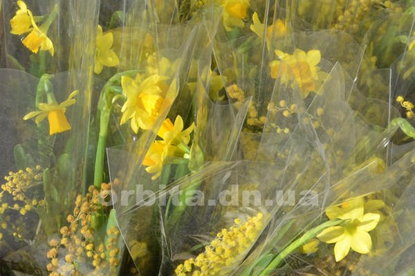 Сколько стоят цветы в Покровске накануне 8 Марта