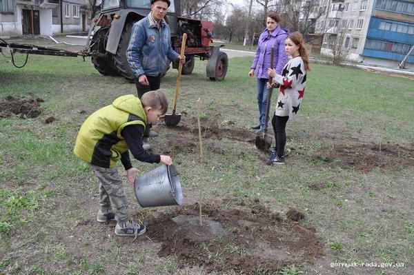 В Горняке детей, которые уничтожили молодые деревья, заставили посадить новые