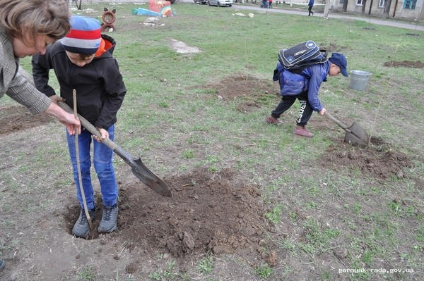В Горняке детей, которые уничтожили молодые деревья, заставили посадить новые
