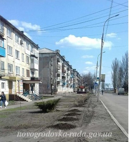 В Новогродовке продолжаются работы по озеленению города