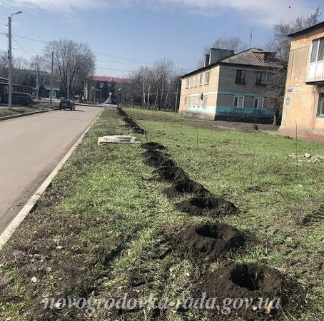 В Новогродовке продолжаются работы по озеленению города