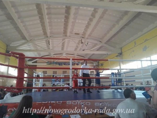 Новогродовские боксеры продемонстрировали свое мастерство на Региональном турнире