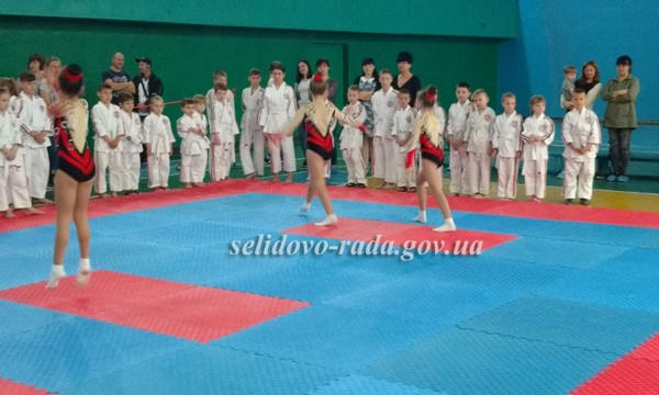 В Селидово прошел Чемпионат Украинской федерации косики каратэ