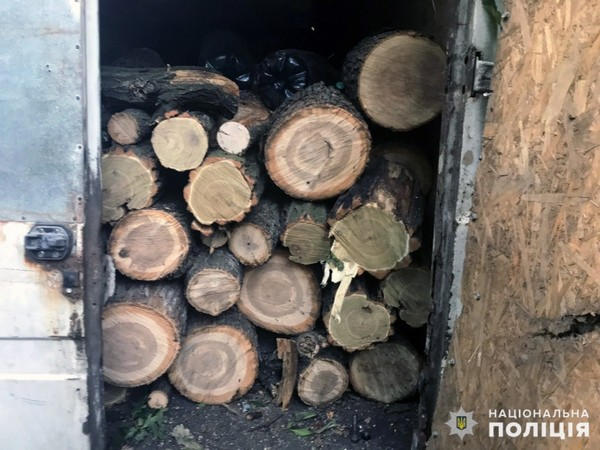 Селидовские полицейские задержали «черного лесоруба»
