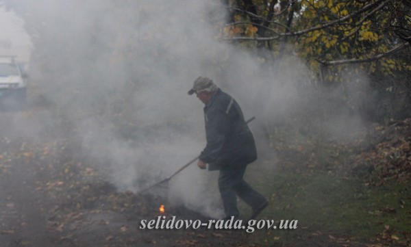 Как в Селидово борются со сжиганием листьев