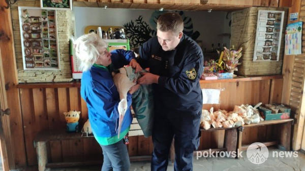 Стала известна судьба аиста, которого спасли в Украинске