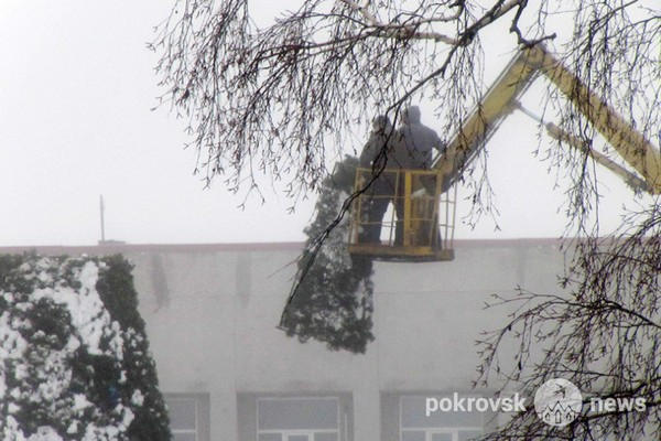 В Покровске только сегодня начали разбирать главную новогоднюю елку