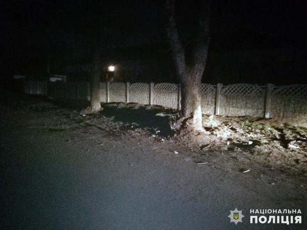 Ночью в Новогродовке автомобиль врезался в дерево