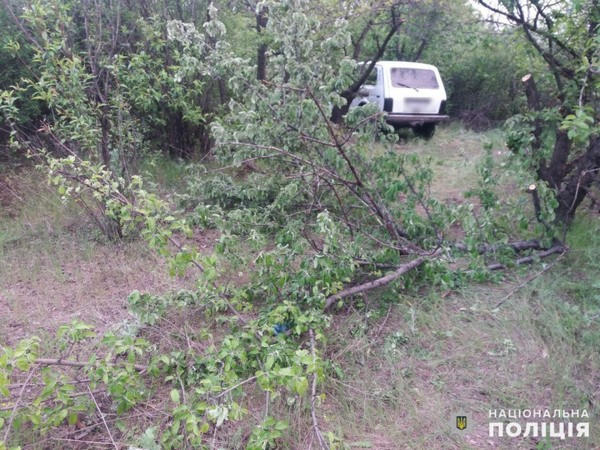 Трое парней из Горняка угнали автомобиль в Селидово