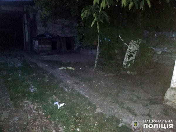В поселке вблизи Селидово женщина нашла в своем дворе гранату