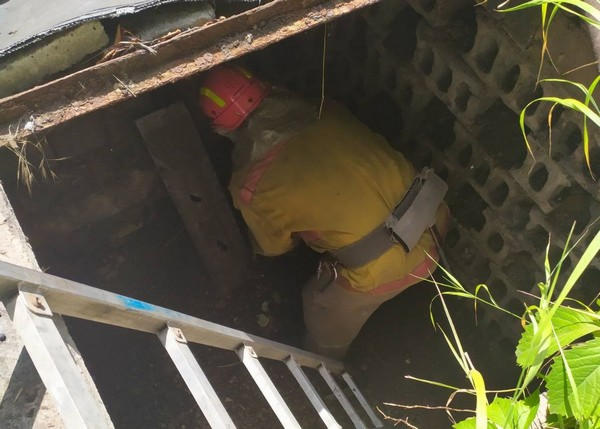 В Горняке спасатели освободили собаку из ямы