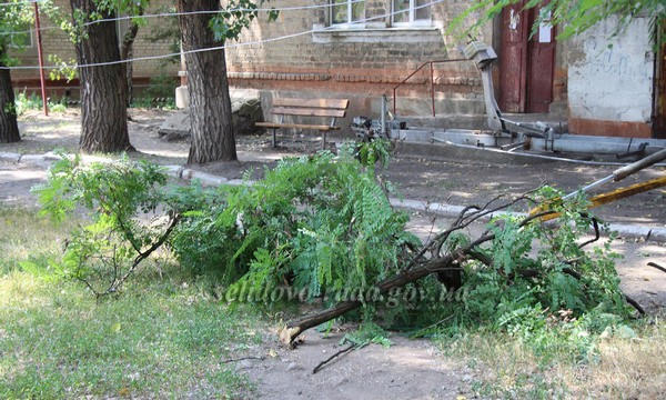 В Селидово проводят опиловку аварийных деревьев