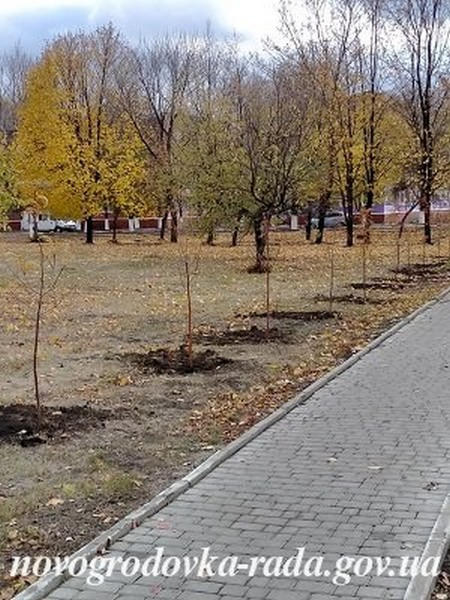 В Новогродовке высадили деревья и кусты роз