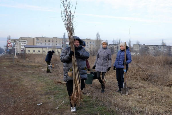 На въезде в Новогродовку высадили сто деревьев