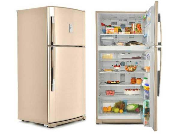 Главные преимущества и особенности холодильников Sharp